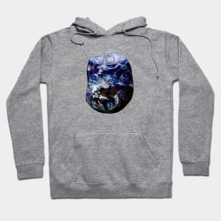 litter world Hoodie